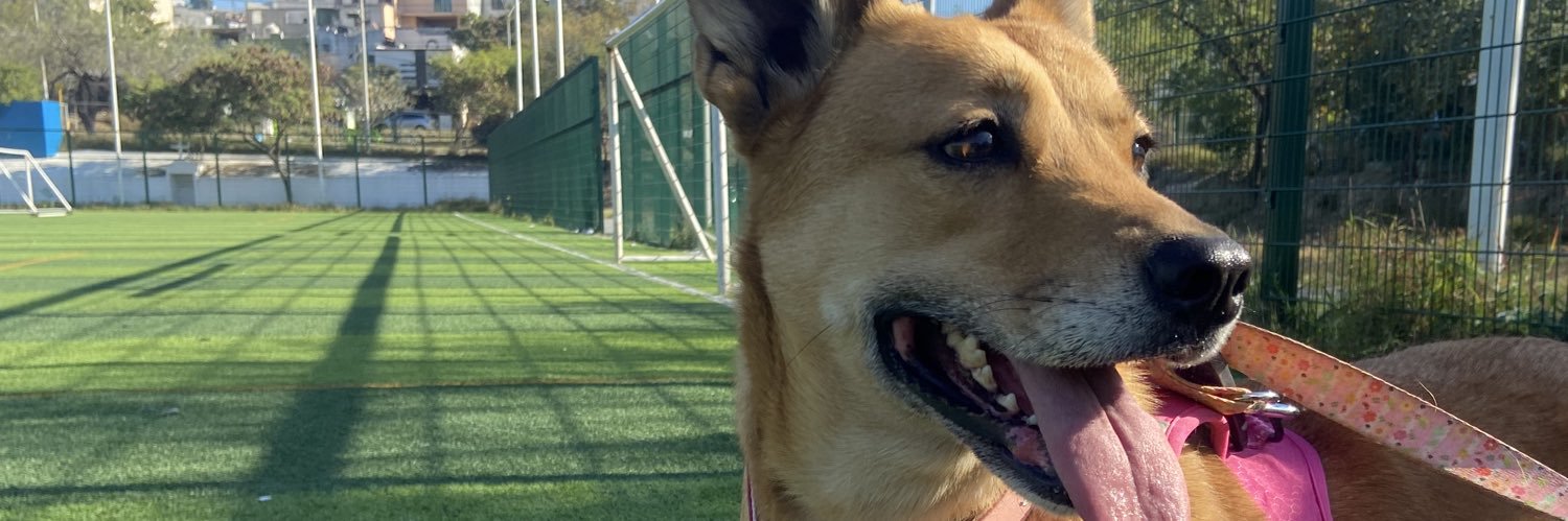 Laurgzz's profile banner image
