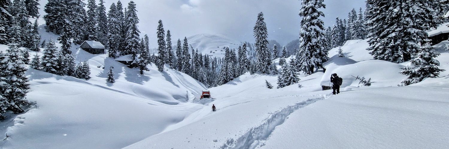 Magnus Tingne 🌟🌟 banner