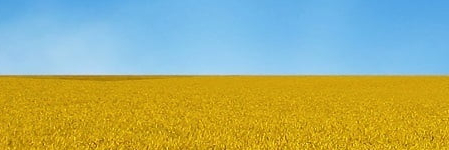 jonny_henley's profile banner image