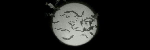 yvmille Profile Banner