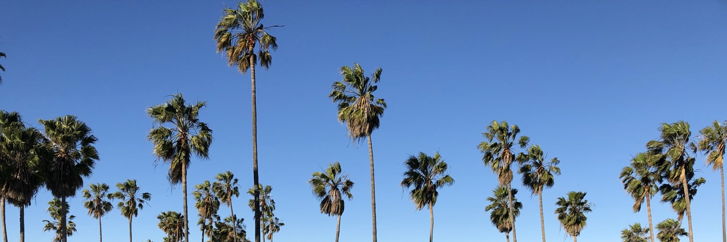 maybeitstien's profile banner image