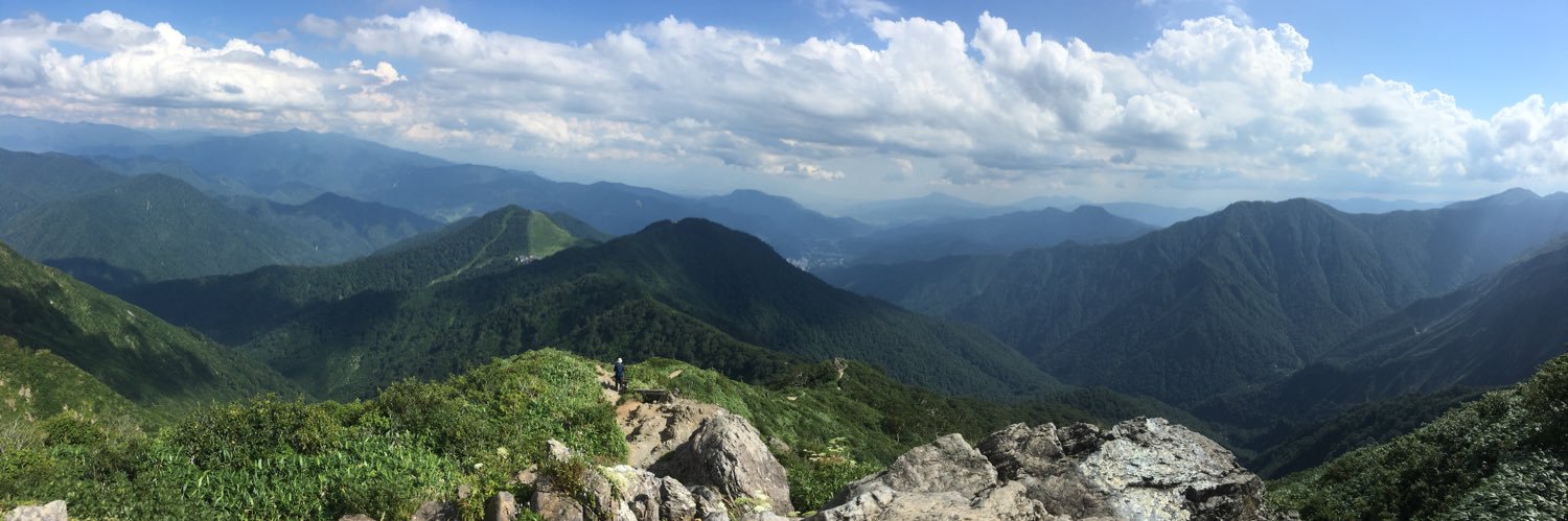 t_forestfield's profile banner image
