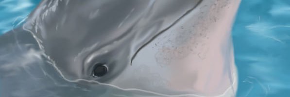 ChaseTNicholson's profile banner image