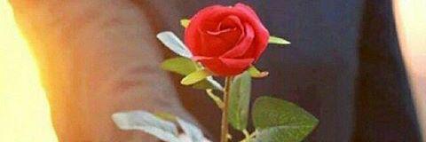 Intaaan_intan's profile banner image
