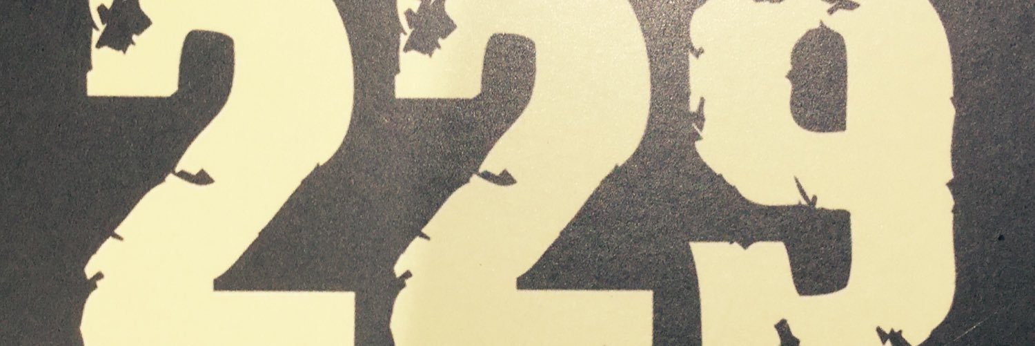 port229's profile banner image