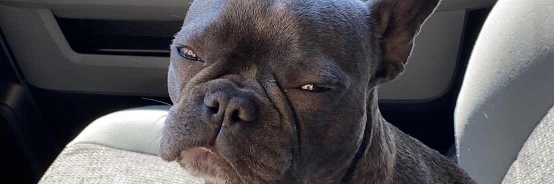 MarcusDavila2's profile banner image
