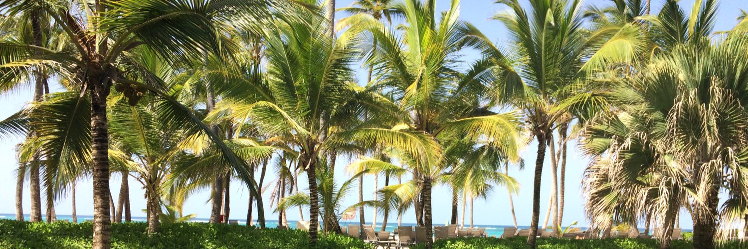 hannah renfrew banner