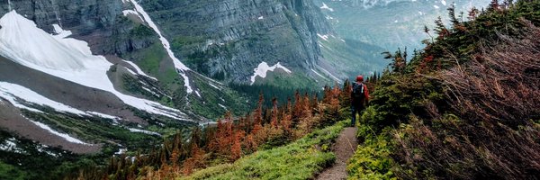 CDNST1 Profile Banner