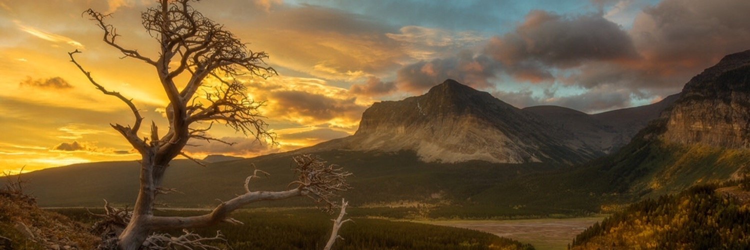 kcjester's profile banner image