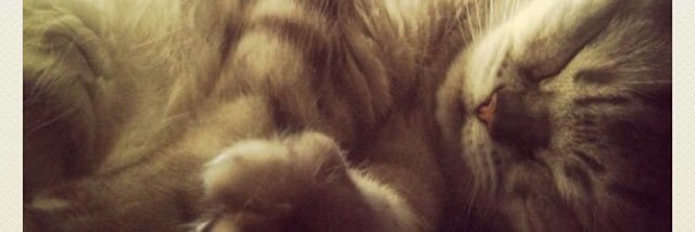 ajpalm94's profile banner image