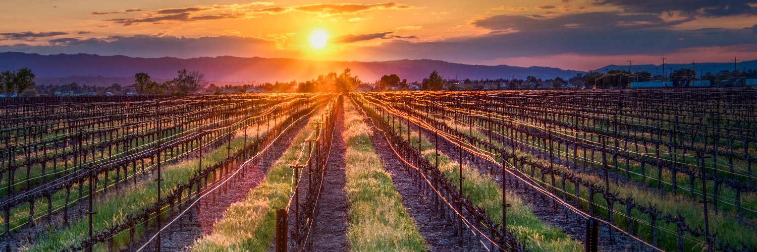 Livermore Valley Wine banner