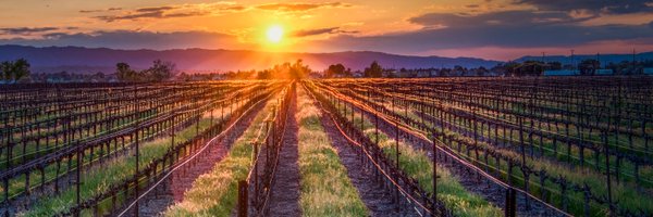 lvwine Profile Banner