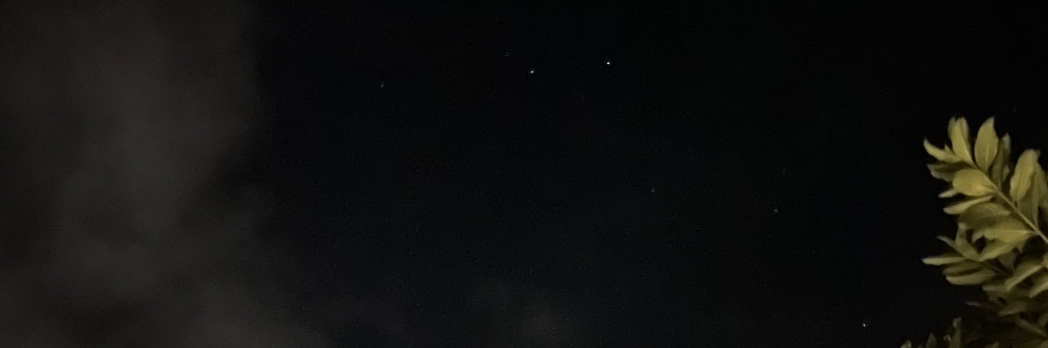 schanmer's profile banner image