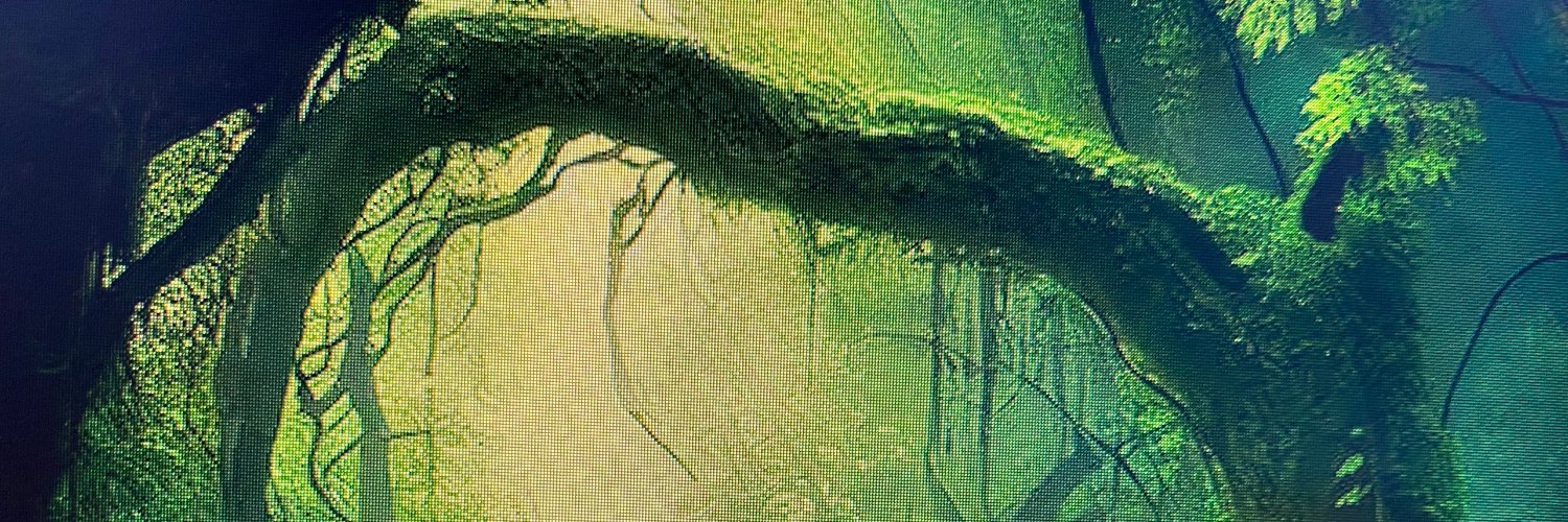 DreamerBass's profile banner image