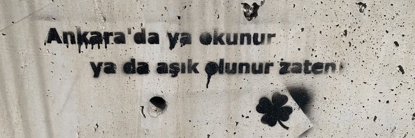 aras_taylan's profile banner image