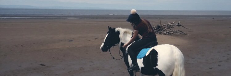 laurenware98's profile banner image