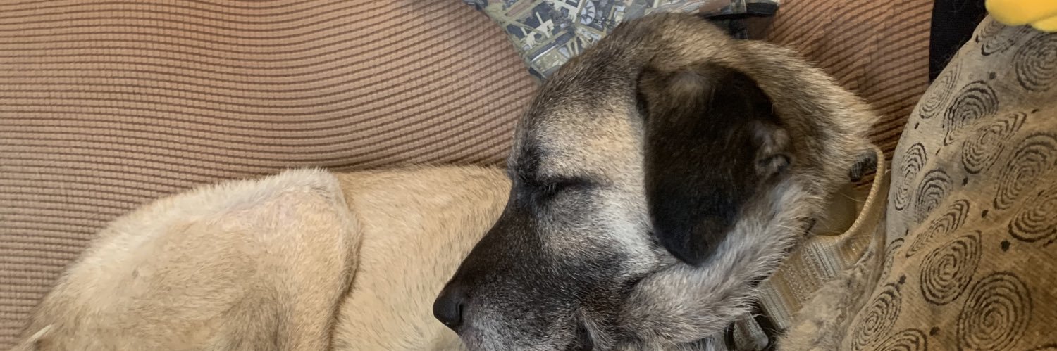 ⚡️⛈️ Adam Lauridsen ☈ ⛈️⚡️ banner