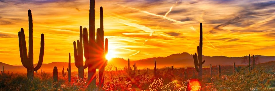 awrowland's profile banner image