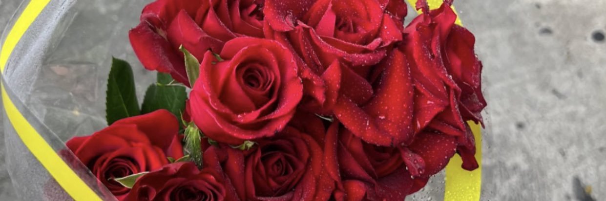 EmilyCNicholas's profile banner image
