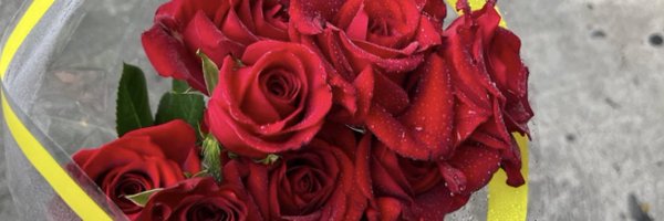 EmilyCNicholas Profile Banner