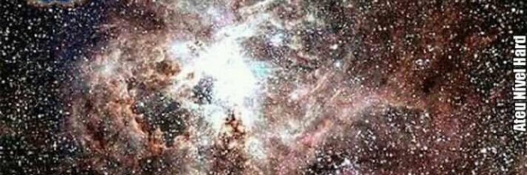 T e S L a banner