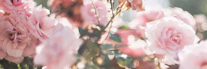 ramuiiu's profile banner image