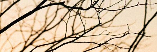 Robin_B23's profile banner image