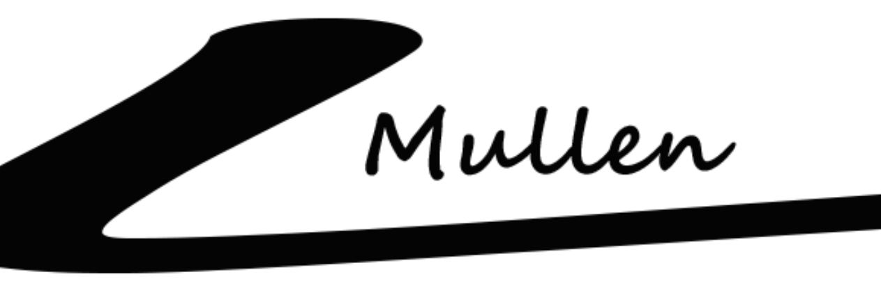 lee mullen banner