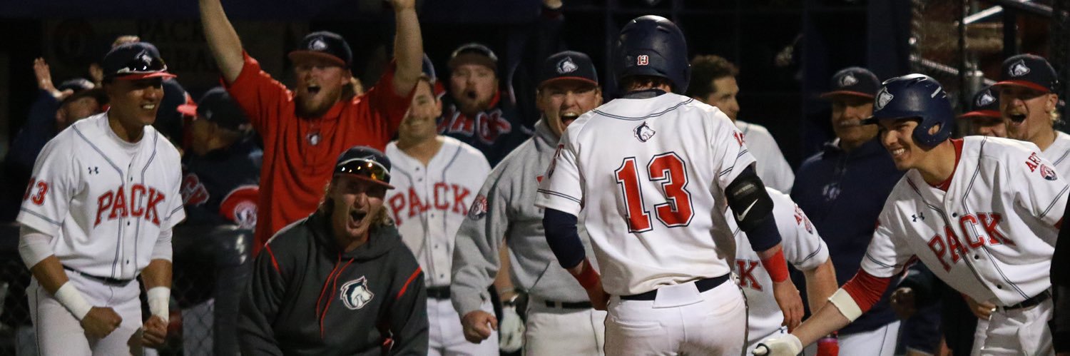 baseball is life banner