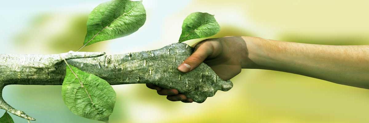 Robertnguma's profile banner image