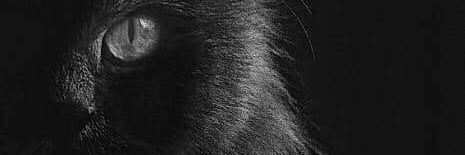 ManzurML's profile banner image
