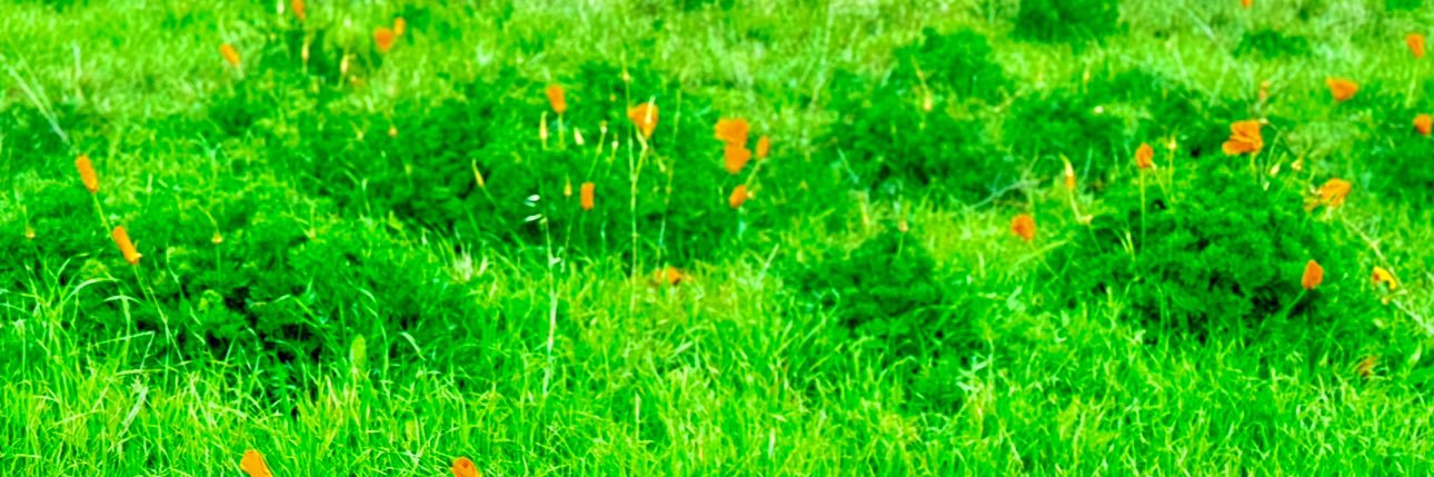 beunderwood's profile banner image