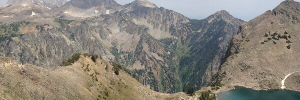 peterfenton Profile Banner