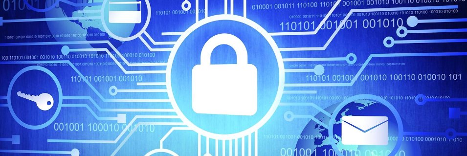 Nathan Maxwell banner