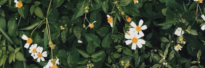 ApriliaDiandra's profile banner image