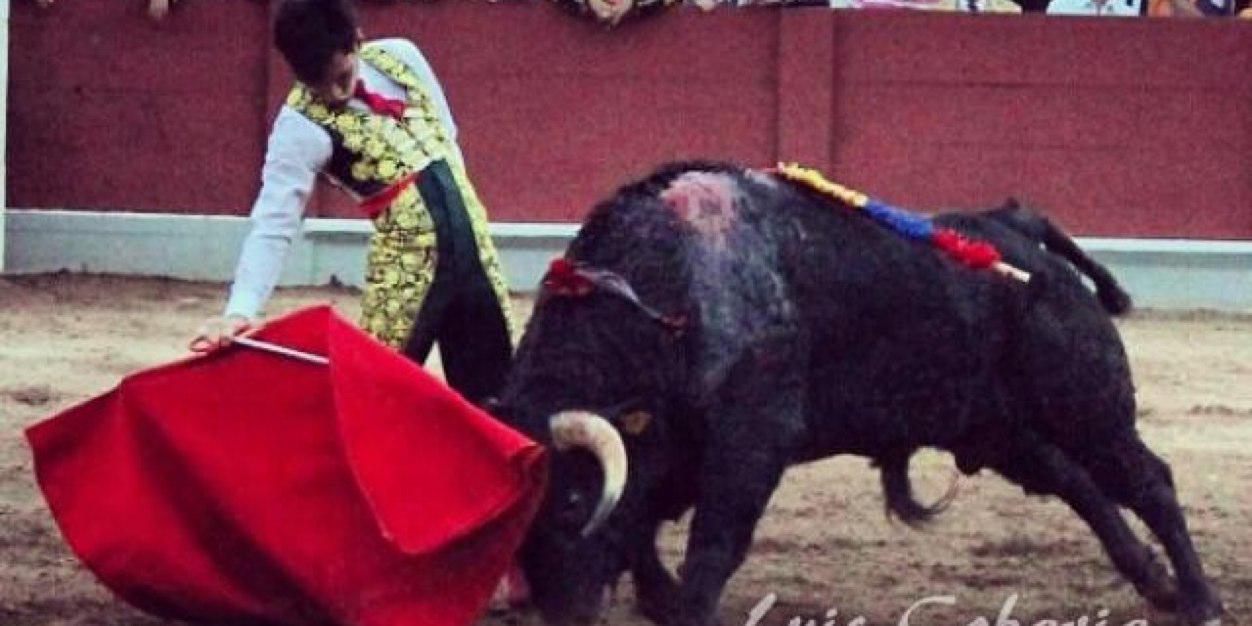 FABIO CASTAÑEDA banner