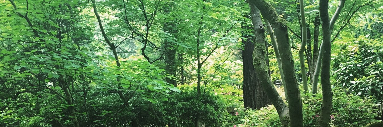 reenasingh11235's profile banner image