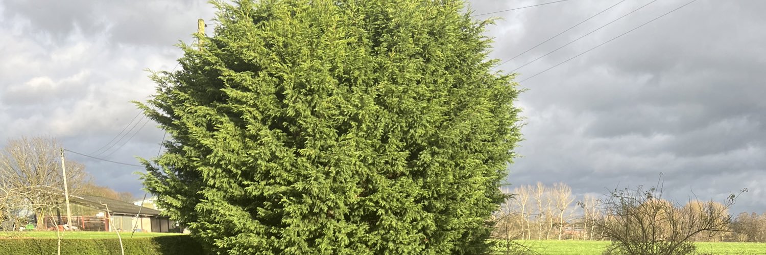 maxmill300's profile banner image