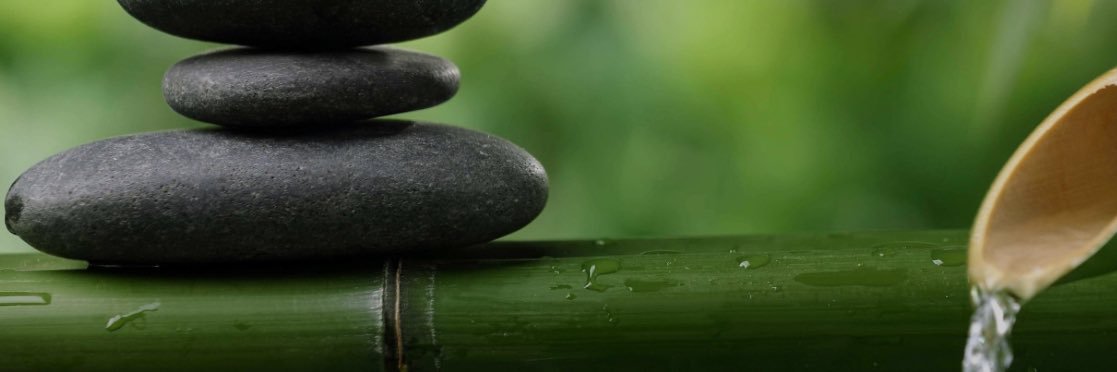 TLauguico's profile banner image