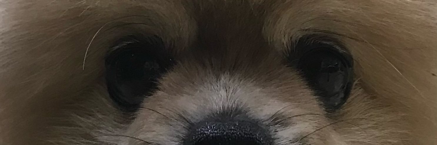engmal7's profile banner image