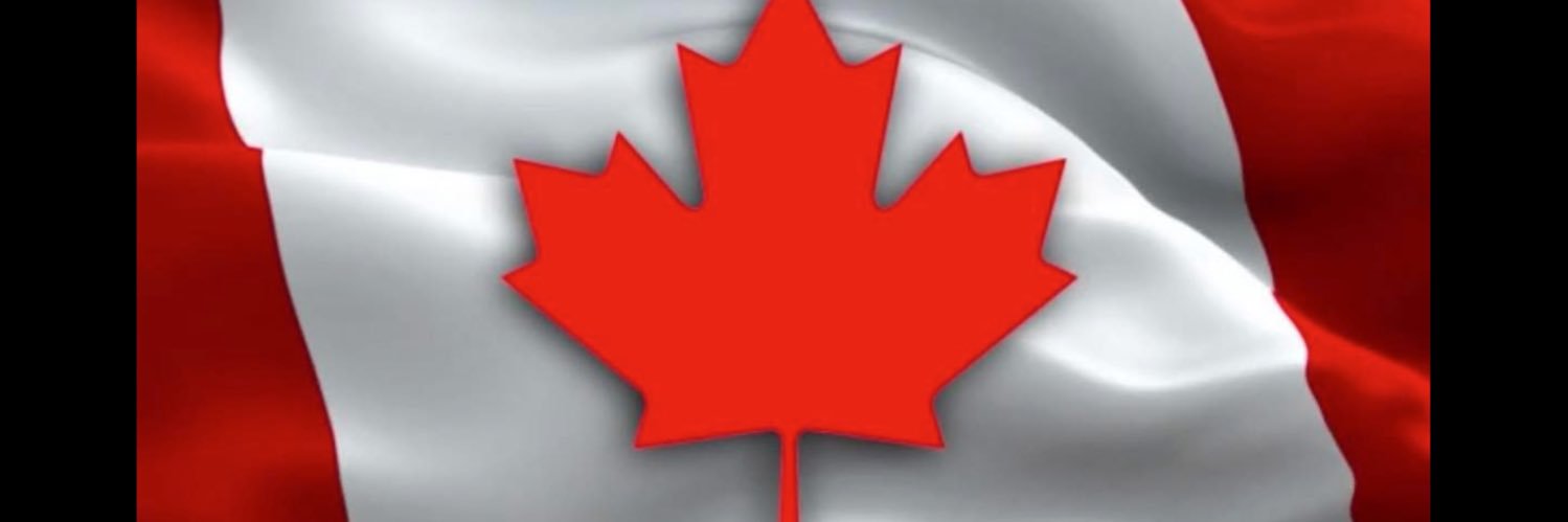 pall_bunion's profile banner image