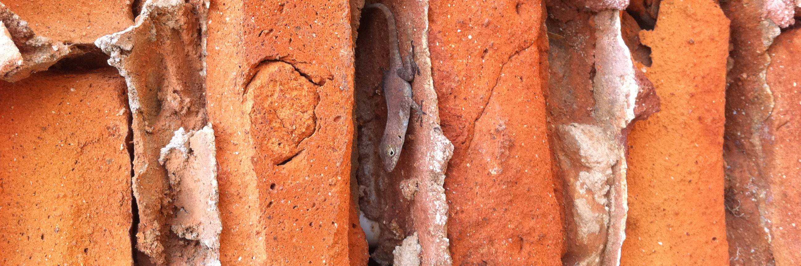 Vikkal Parikh banner