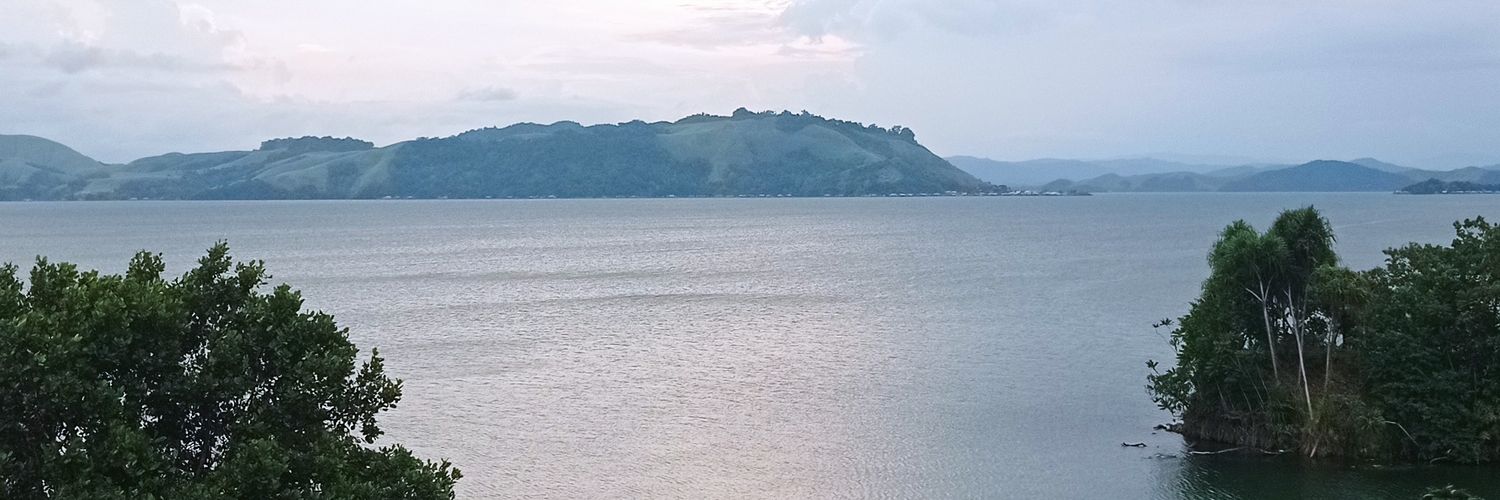 edwiinWP's profile banner image