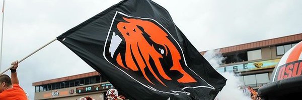 BeaverBlitz Profile Banner