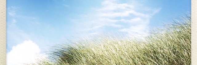 Rachel Hooper banner