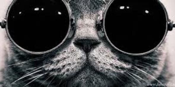 konubende's profile banner image