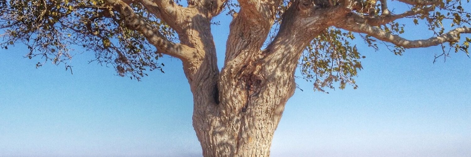 Busecesme's profile banner image
