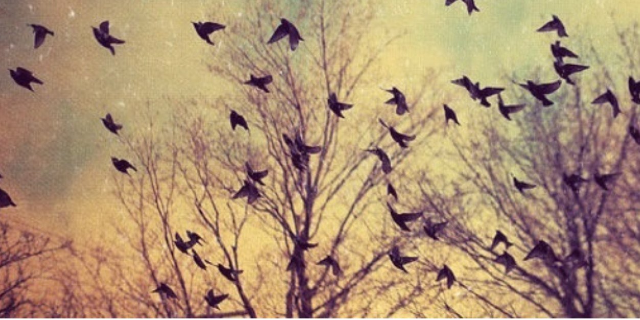 LorenaMp_'s profile banner image