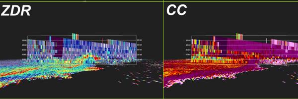 TTrogdon Profile Banner