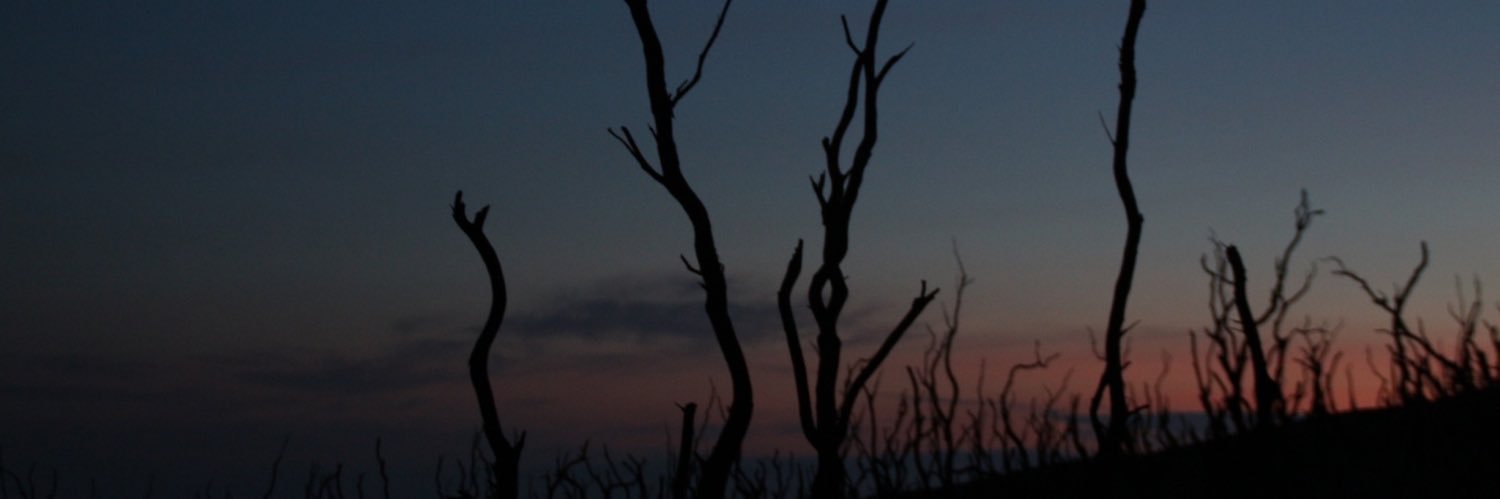 GiselaGML's profile banner image